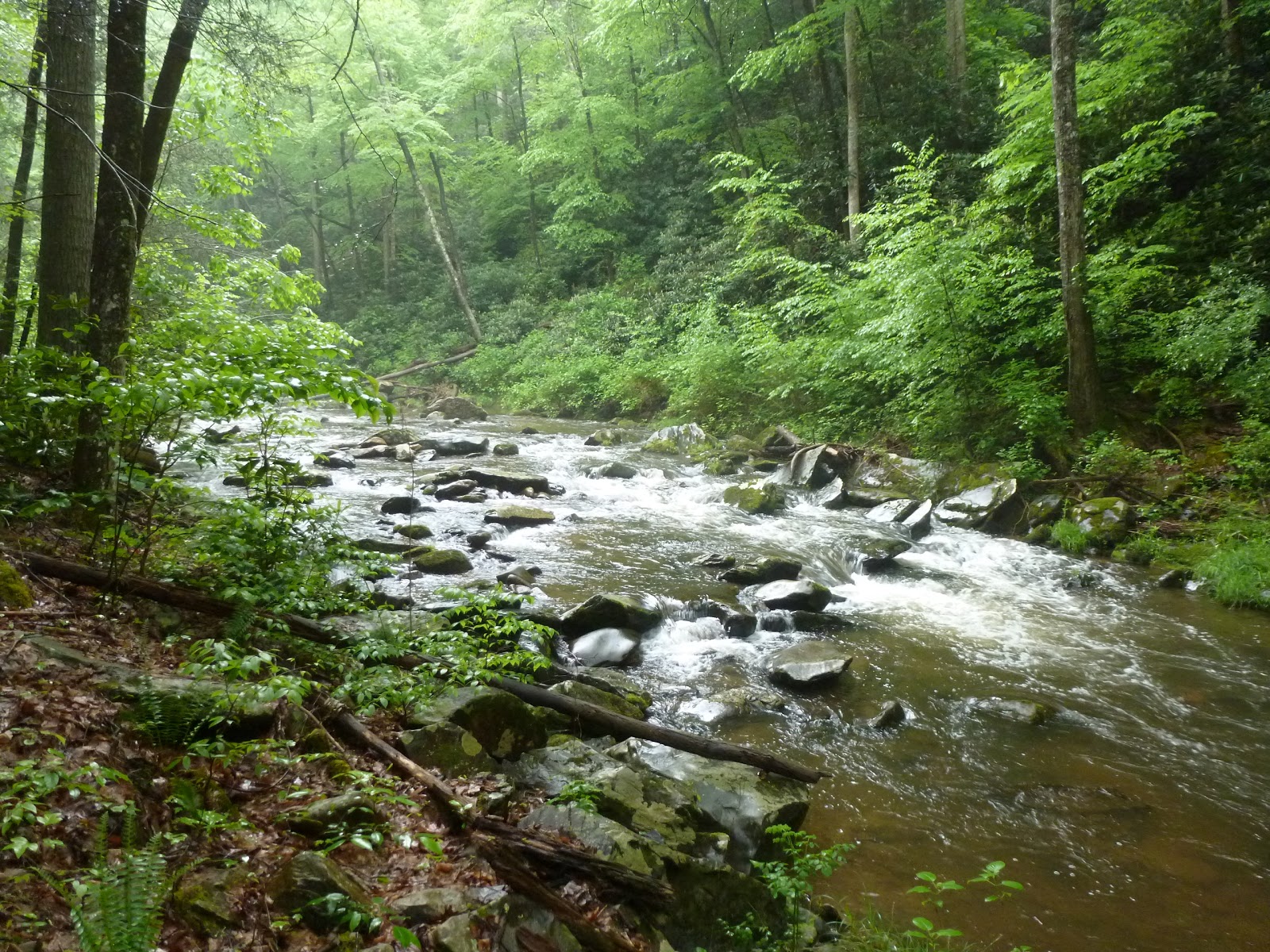 The Continuing Adventures of Eric, Noelle and Sierra Cherokee National