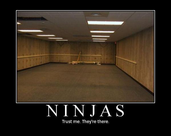 ninja.jpg