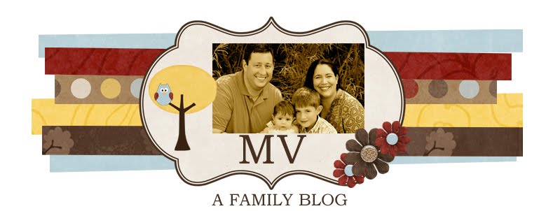 The Four MV's - A Family Blog