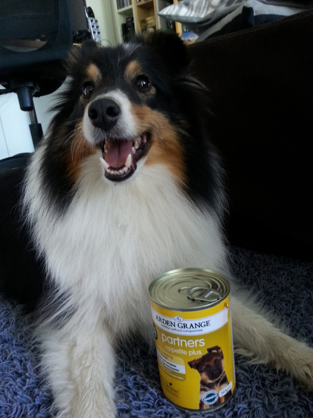 arden grange appetite plus