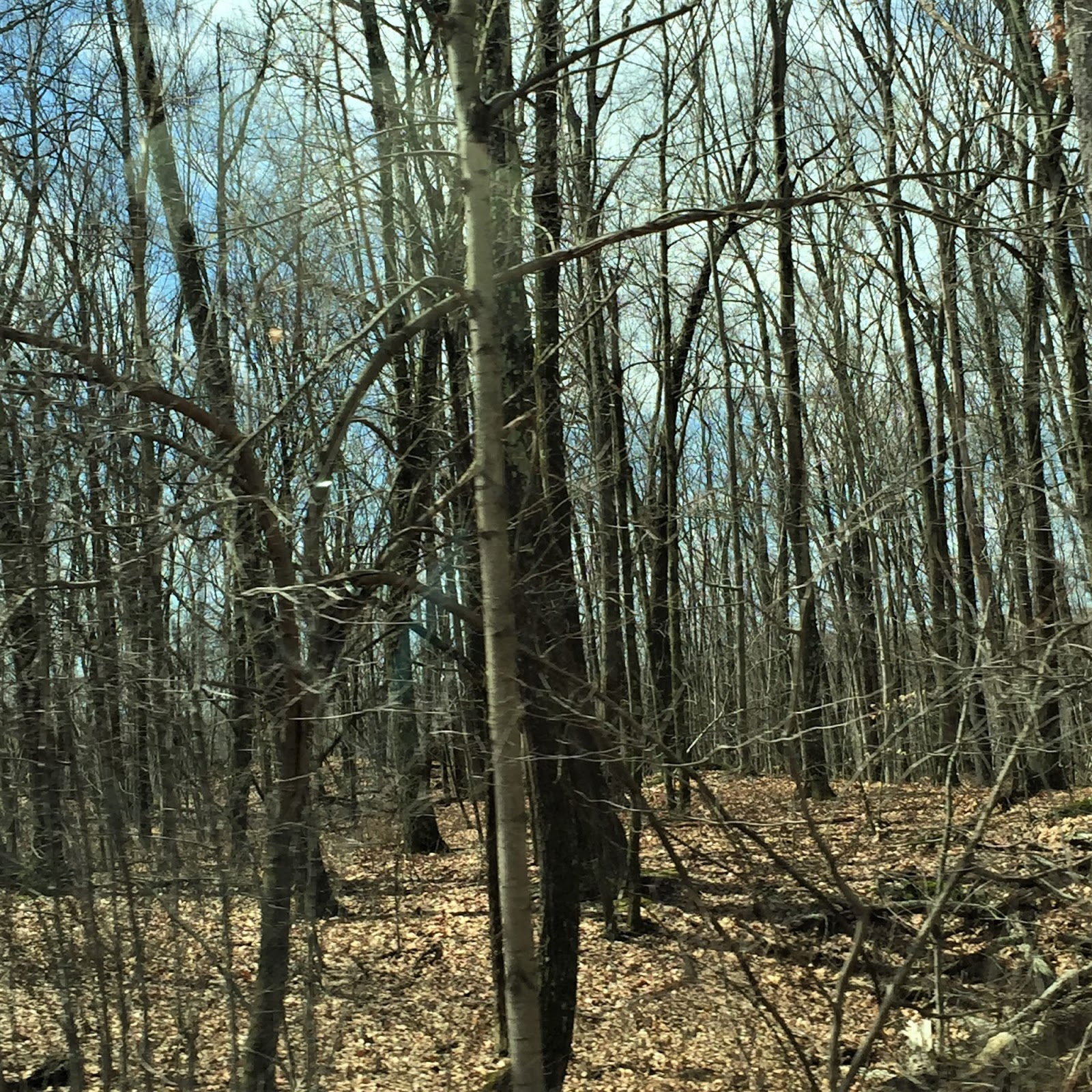 Souvenir Chronicles VALHALLA, NEW YORK KENSICO CEMETERY