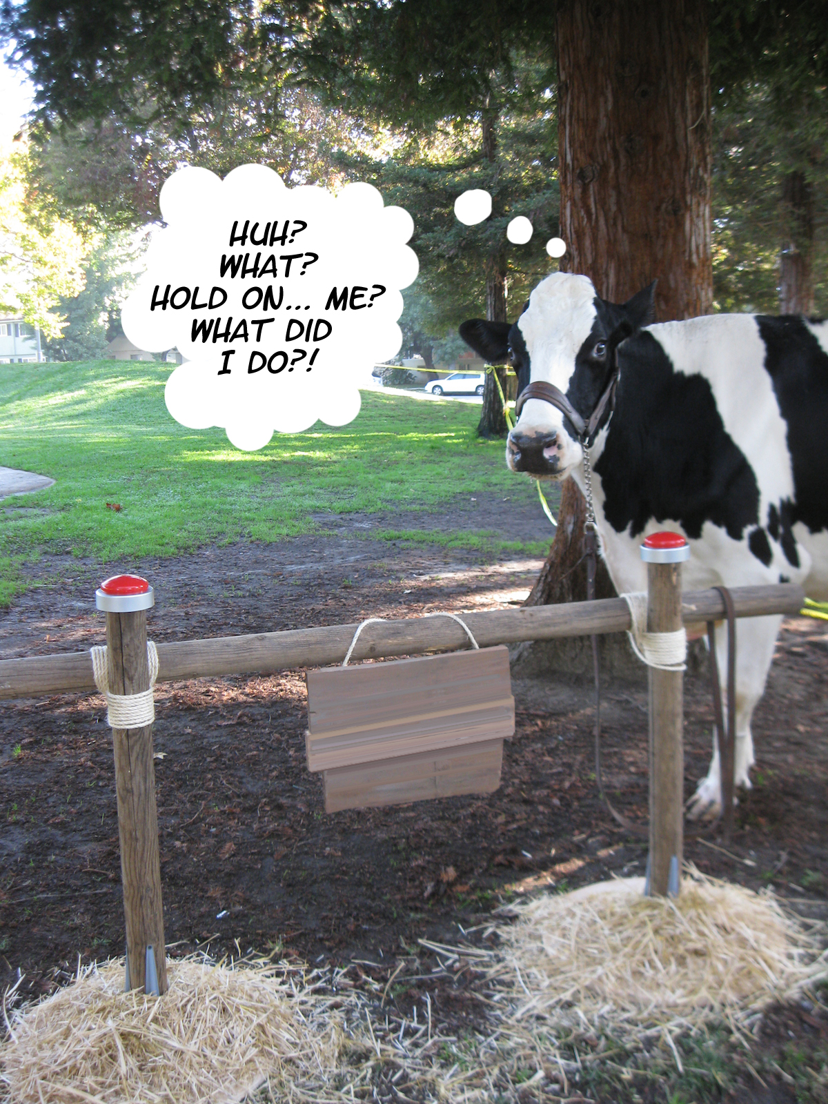 DAVE LOWE DESIGN the Blog 8 Days �til Halloween The Old Cow Excuse.