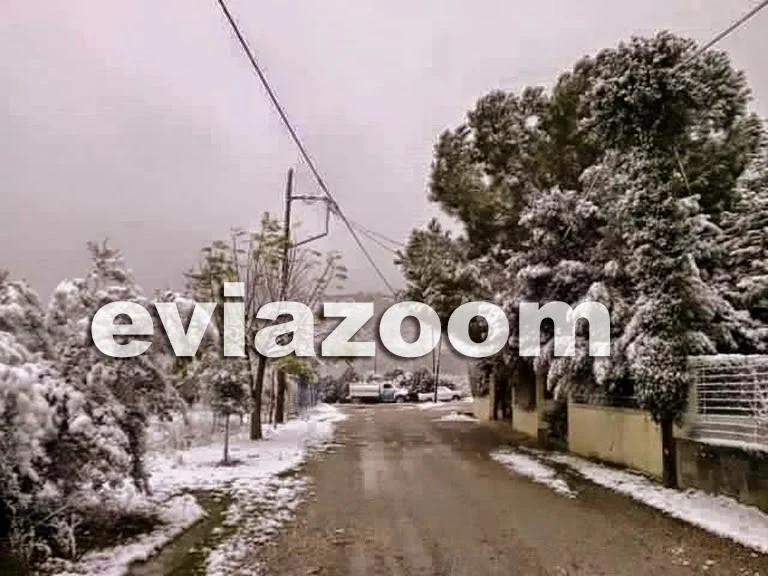 Εύβοια: Νέος χιονιάς και πολικές θερμοκρασίες - Που θα χιονίσει!