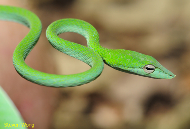 Jinsiy aloqa paytida erkakning jinsiy olatni ichiga kirib boradi Rus tilida bir qizni uchlik qilishyapti. Videoni tomosha qiling.