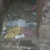 В Харькове люди спасли котенка, который провалился в мусоропровод (Видео)