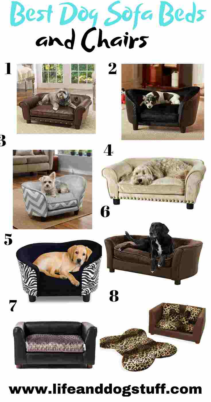 8 Best Dog Sofa Beds And Couches