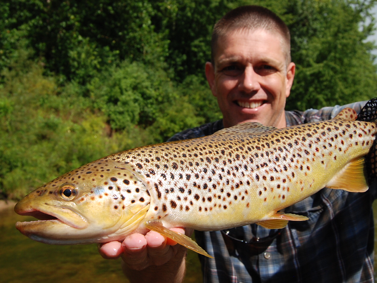 Muskegon River Steelhead Michigan Brown Trout Fishing Muskegon River