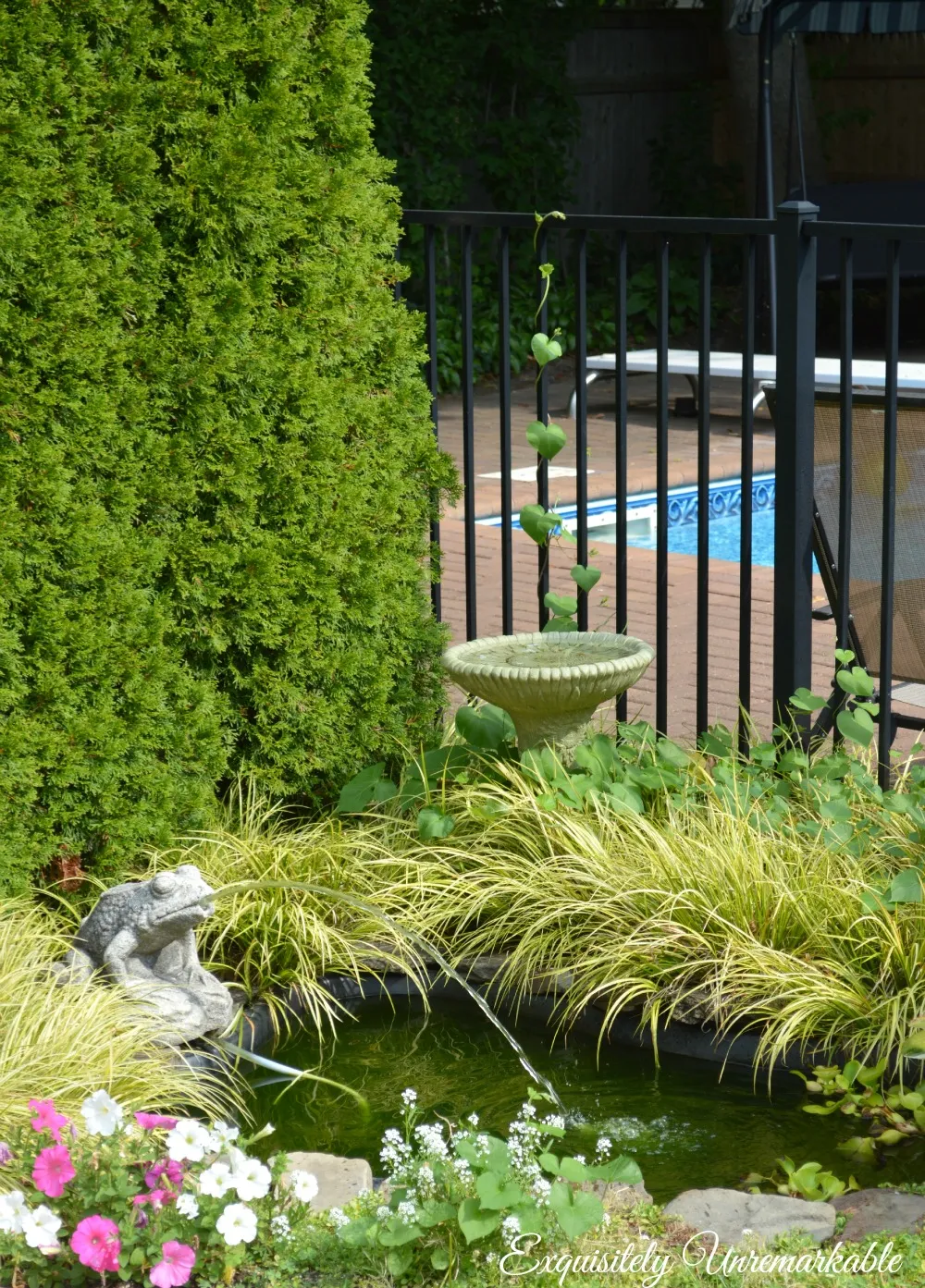 DIY Garden Pond