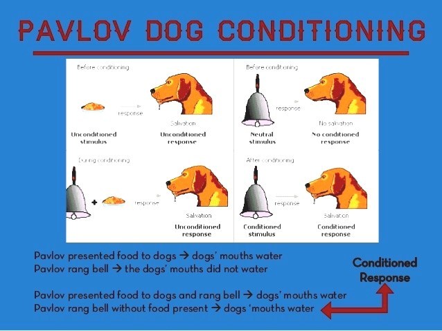 Pavlov s Stimulus Substitution Theory