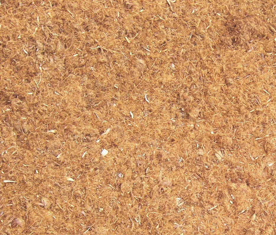 The 2 Minute Gardener 2012