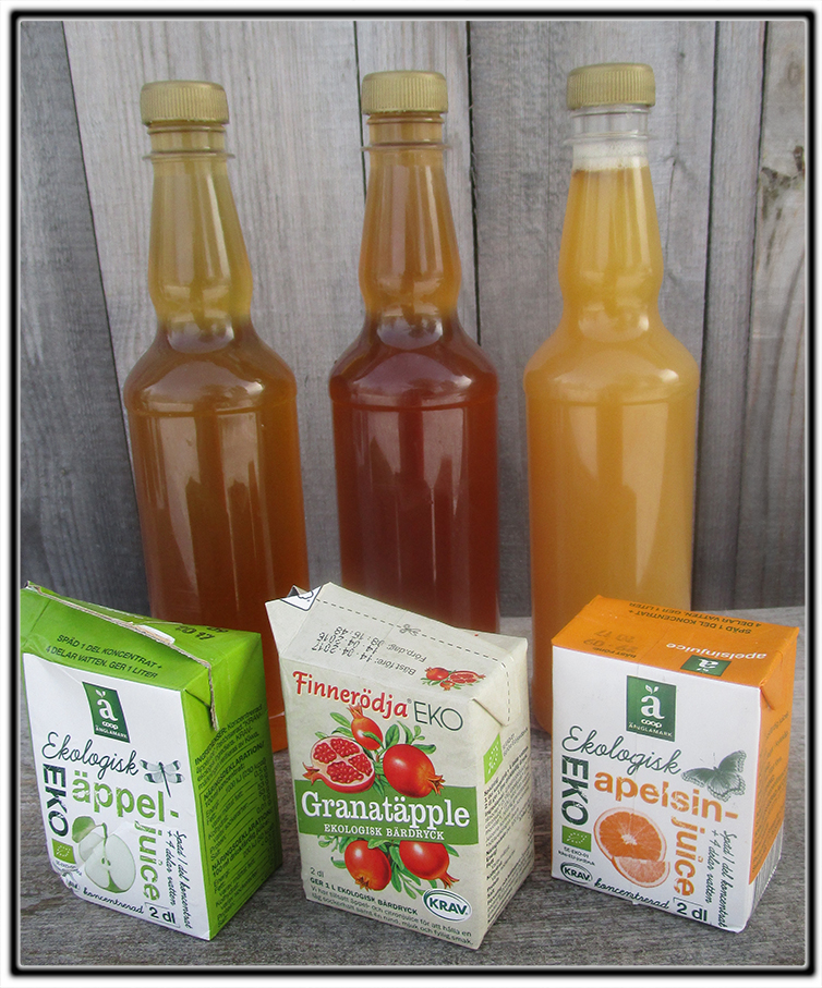 Gör egen kombucha! Scoby svamp till salu, skickas med vanlig post på 1