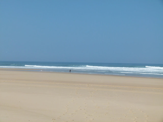 surfin estate blog surf culture surfboard skateboard lifestyle la vache morte cap ferret dead cow vincent lemanceau arthur nelli