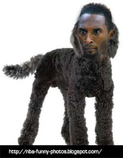 NBA Farm - Players and their Animals Look Alike | NBA FUNNY MOMENTS