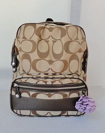 Bags Heaven: Coach Large Signature Backpack