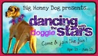 Honey's Doggie Dancing Competition!