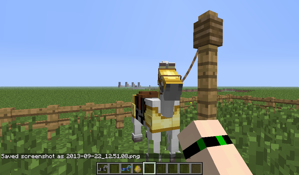 NextCraft Minecraft, Horses And Donkeys.