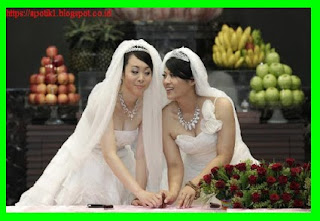 Penyebab Lesbian, Gay serta beberapa Negara yng melegalkan pernikahan Lesbian dan Gay dan 25 negara yang melegalkan penikahan sesama jenis