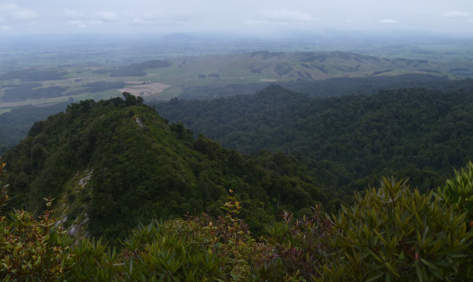 Our Backyard NZ. Maungatautari Summit Hike, Maungatautari Scenic Reserve