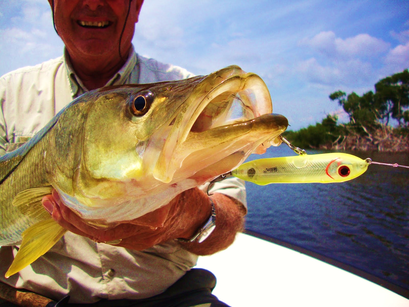 Electronic boat throttle controls Best bait for snook