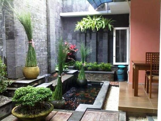 Taman Minimalis Dengan Kolam Ikan di Belakang Rumah Taman Minimalis Dengan Kolam Ikan di Belakang Rumah