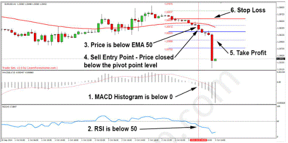 Pivot points forex book