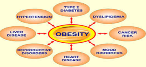 Health Risks Associated with Overweight and Obesity? - Akinsete