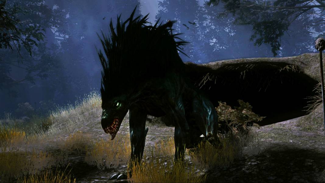 Wolf World Game Wolf World Game
