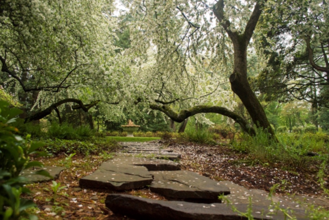 PA Environment Digest Blog Stoneleigh, The Haas 42Acre Estate