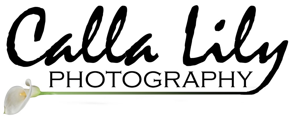 Calla Lily Photography