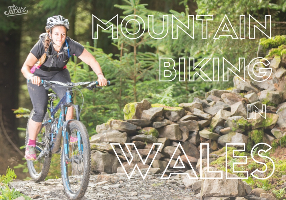 Afan Forest Park Skyline Mountain Bike Trail Port Talbot Skyline