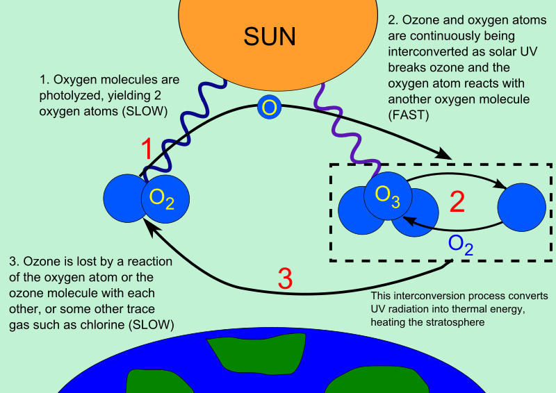 система работы ozon