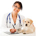 Dogs help in breast cancer research for humans