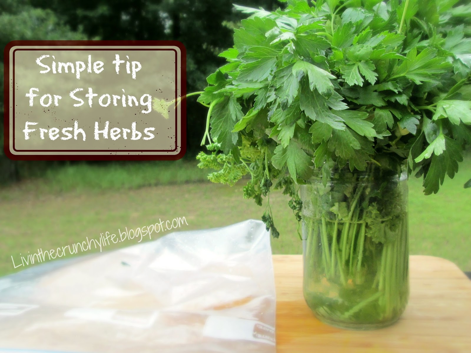 Simple Storage Tip for LongerLasting Fresh Herbs Livin' the Crunchy Life