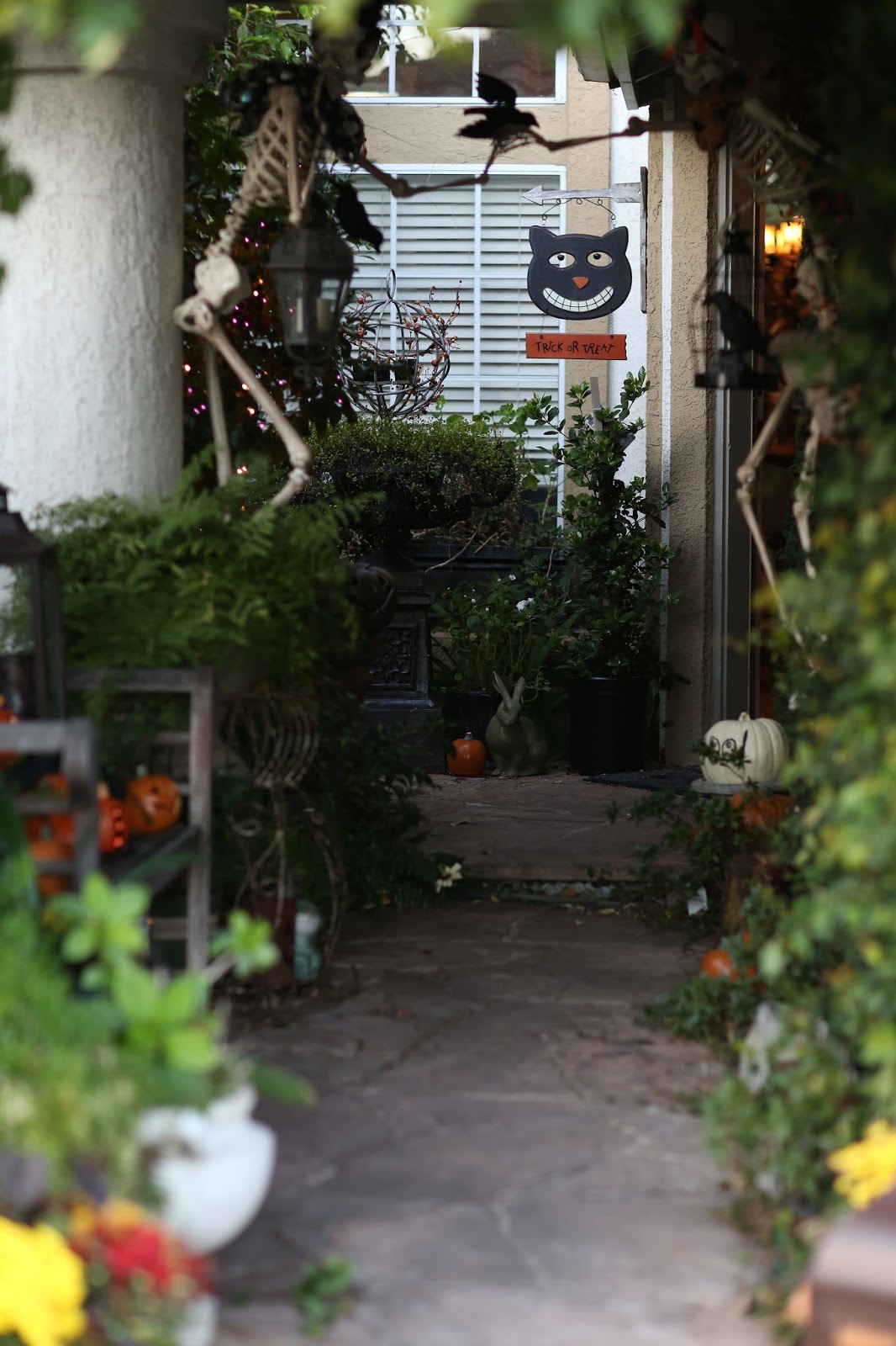 C.B.I.D. HOME DECOR and DESIGN: HALLOWEEN DECORATING FOR A PARTY!