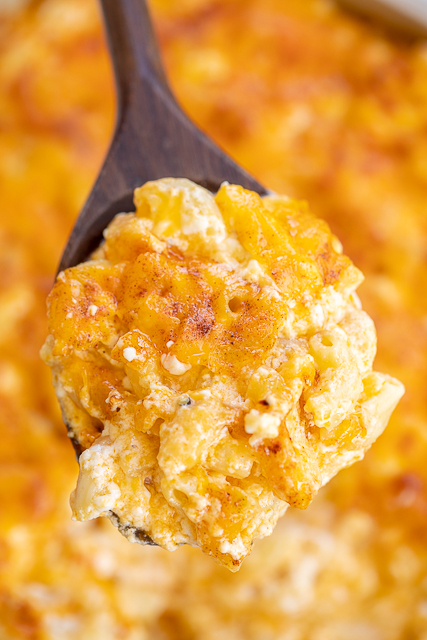 Mack & Jeezy - seriously delicious mac and cheese recipe!! No sauces to make. Just boil the pasta, stir in the cheese and bake. Elbow macaroni, cottage cheese, egg, sharp cheddar cheese, salt and paprika. Served this at a dinner party and it was the first thing to go! SO good!!! #macandchese #pasta #sidedish #casserole Mack & Jeezy - seriously delicious mac and cheese recipe!! No sauces to make. Just boil the pasta, stir in the cheese and bake. Elbow macaroni, cottage cheese, egg, sharp cheddar cheese, salt and paprika. Served this at a dinner party and it was the first thing to go! SO good!!! #macandchese #pasta #sidedish #casserole