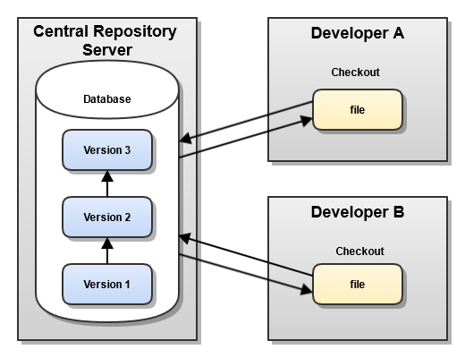 CanMaliCan: What is Version Control