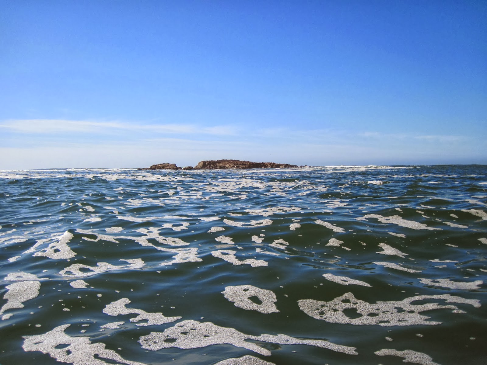 Matt Duckworth Underwater Bodega Bay Kayaking Misc