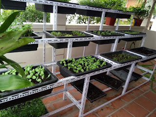 Kệ sắt lắp ráp dùng trong nông nghiệp