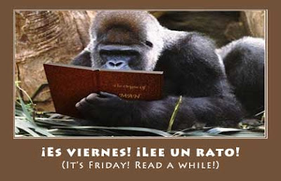 Gorila Reading
