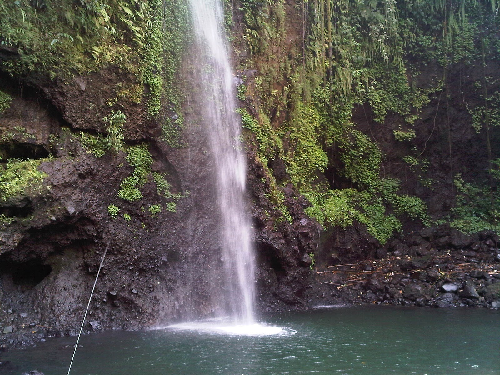 SON XII_DELL: TEMPAT WISATA DI BANYUMAS