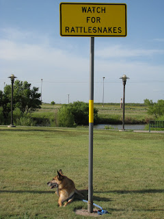 Watch for Rattlesnakes