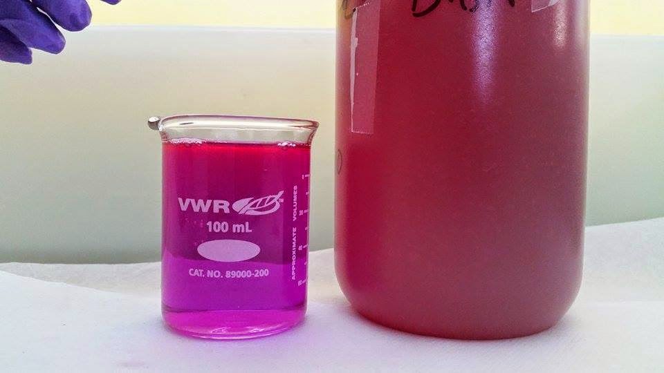 Group 09007 Fast and Filtering Five