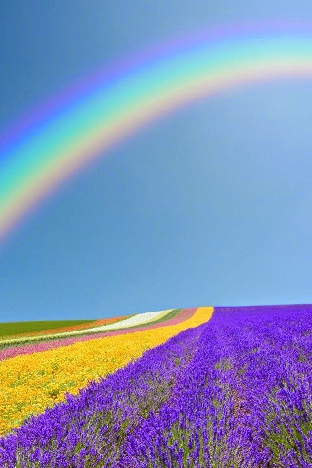 Rainbow Stunning Nature