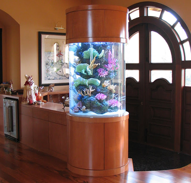 Aquariums that turn heads Vertical Home Garden