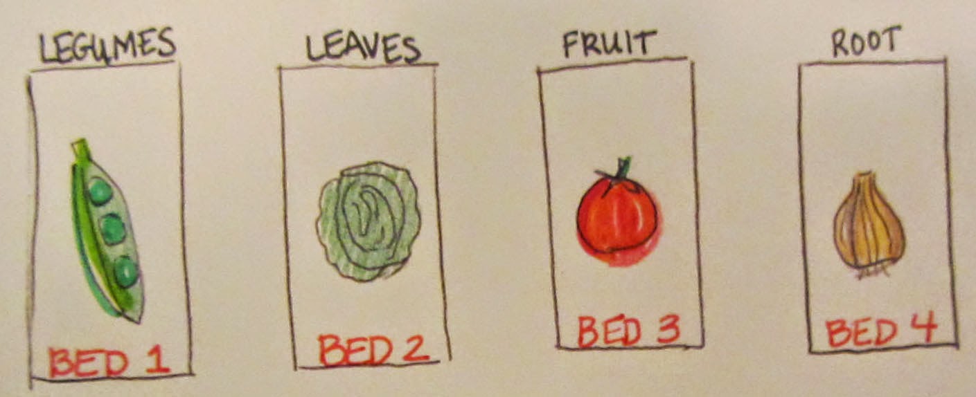Following the Master Gardener: Gardening 101: Crop Rotation