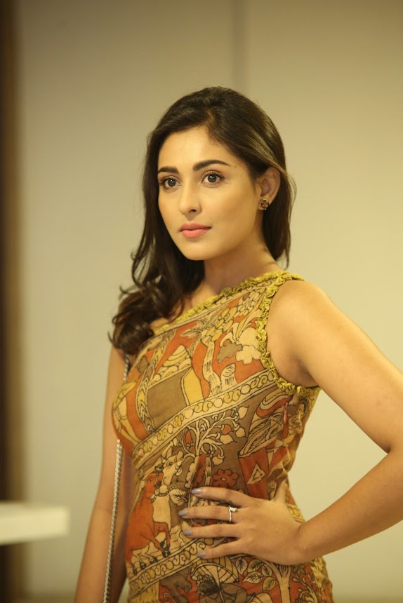 Madhu Shalini stills at Goodachari movie Success Meet