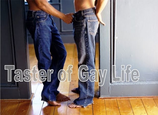 Taster of Gay Life