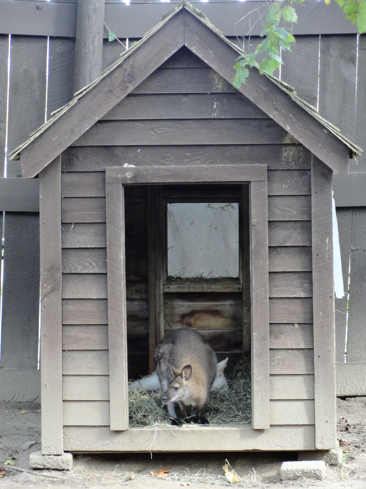 Escape From LI 2 The Boston Years New England's largest zoo...