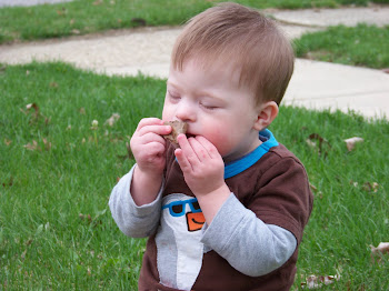 Connor and the leaf