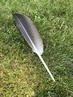 A perfect feather